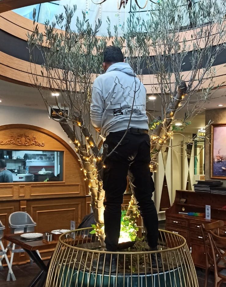 İç-Dış Mekan Bitki Bakım